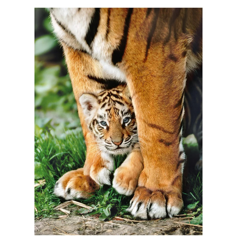 Clementoni 500 Piece Jigsaw Puzzle - Bengal Tiger