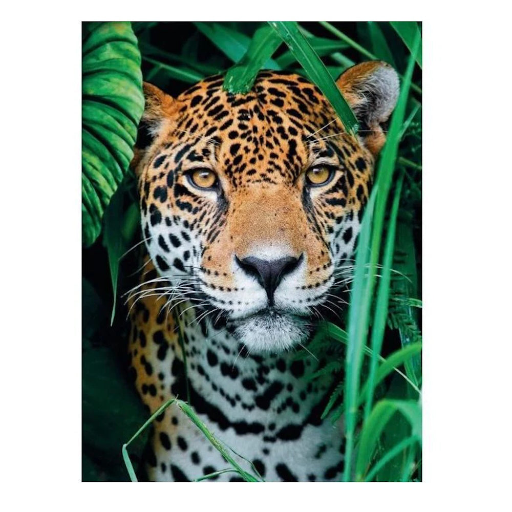 Clementoni 500 Piece Jigsaw Puzzle - Jaguar in the Jungle