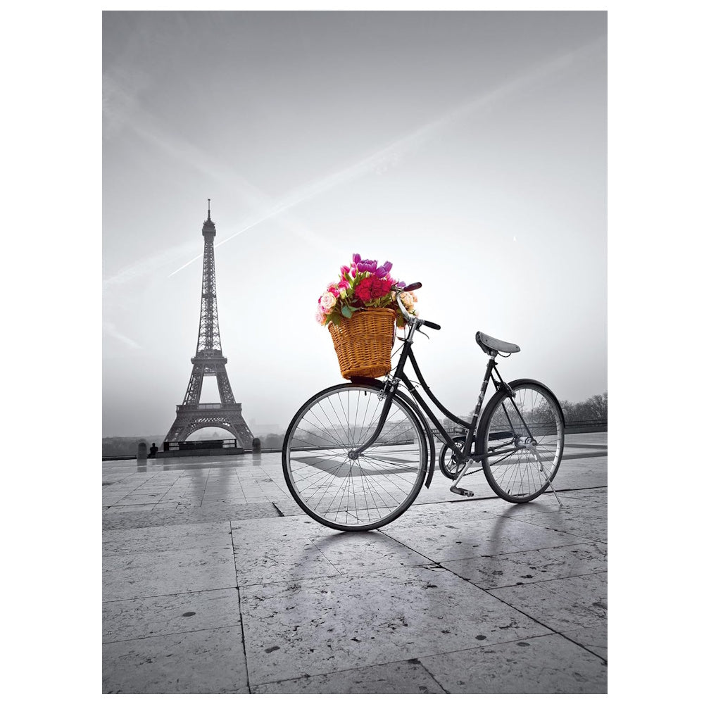 Clementoni 500 Piece Jigsaw Puzzle - Romantic Promenade in Paris