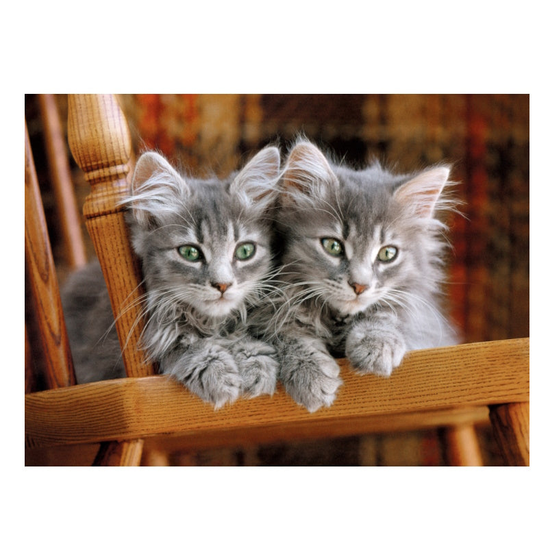 Clementoni 500 Piece Jigsaw Puzzle - Two Grey Kittens