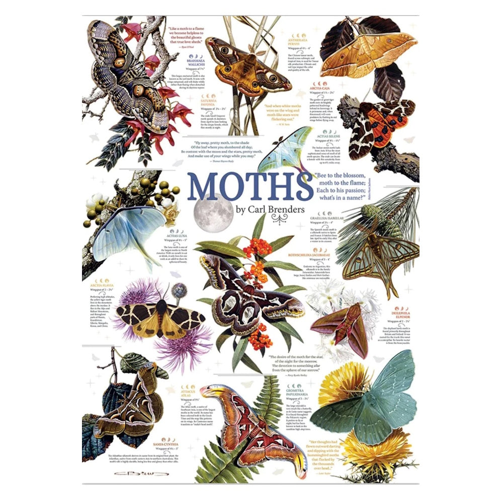 Cobble Hill 1000 Piece Puzzle - Moth Collection