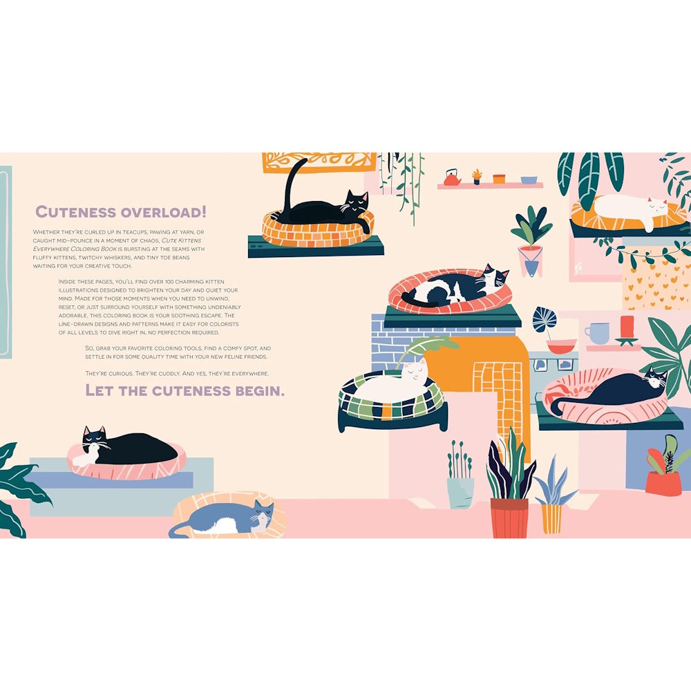 Cute Kittens Everywhere Colouring Book