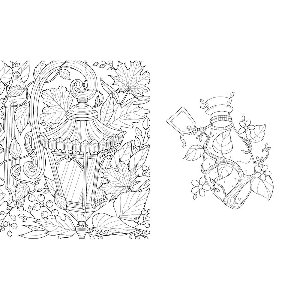 Dark Academia Colouring Book