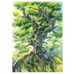 Enjoy 1000 Piece Puzzle - Tree of Life