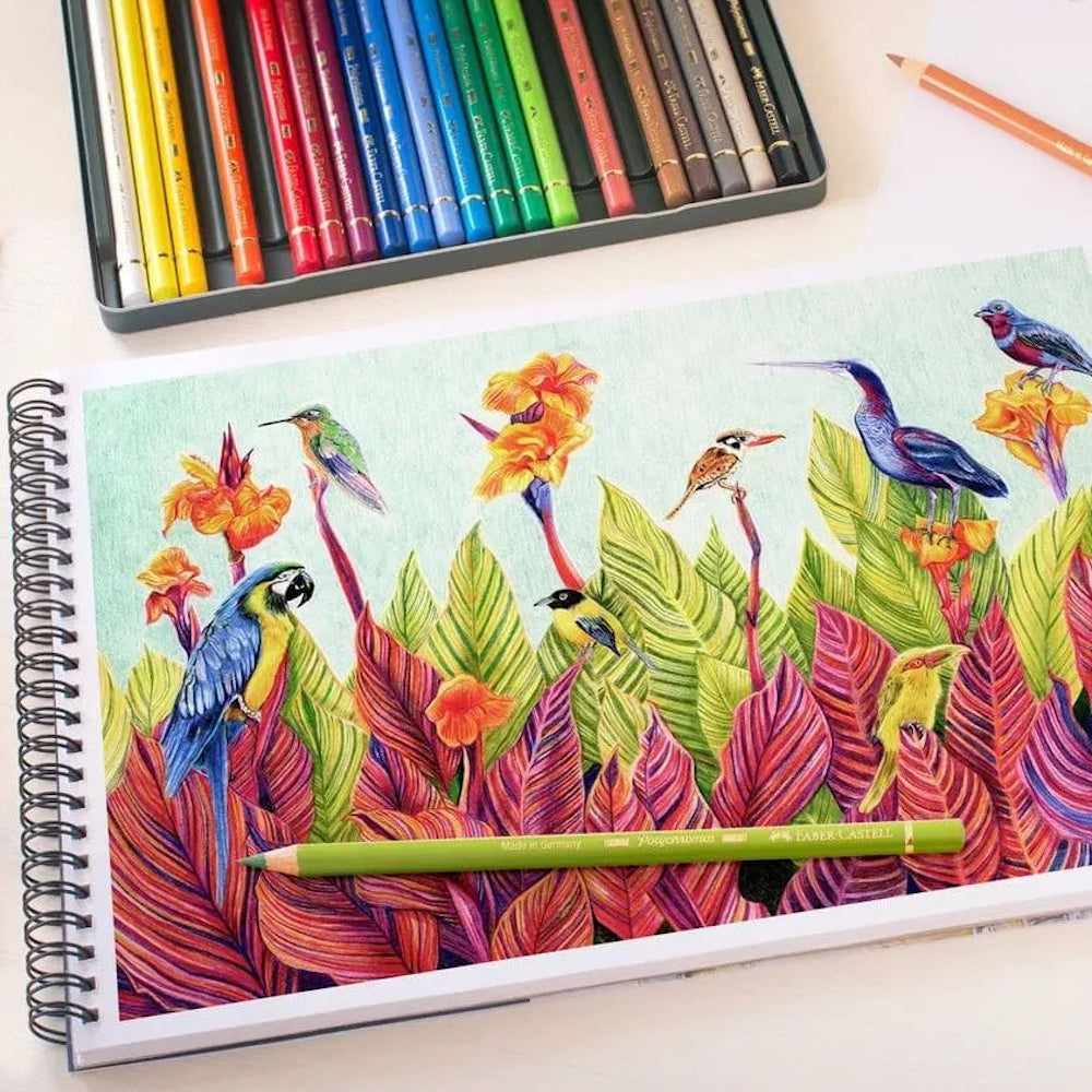 Faber-Castell Polychromos Colouring Pencils Tin of 24