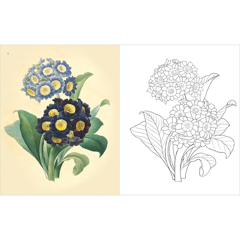 The Flowers Colouring Book