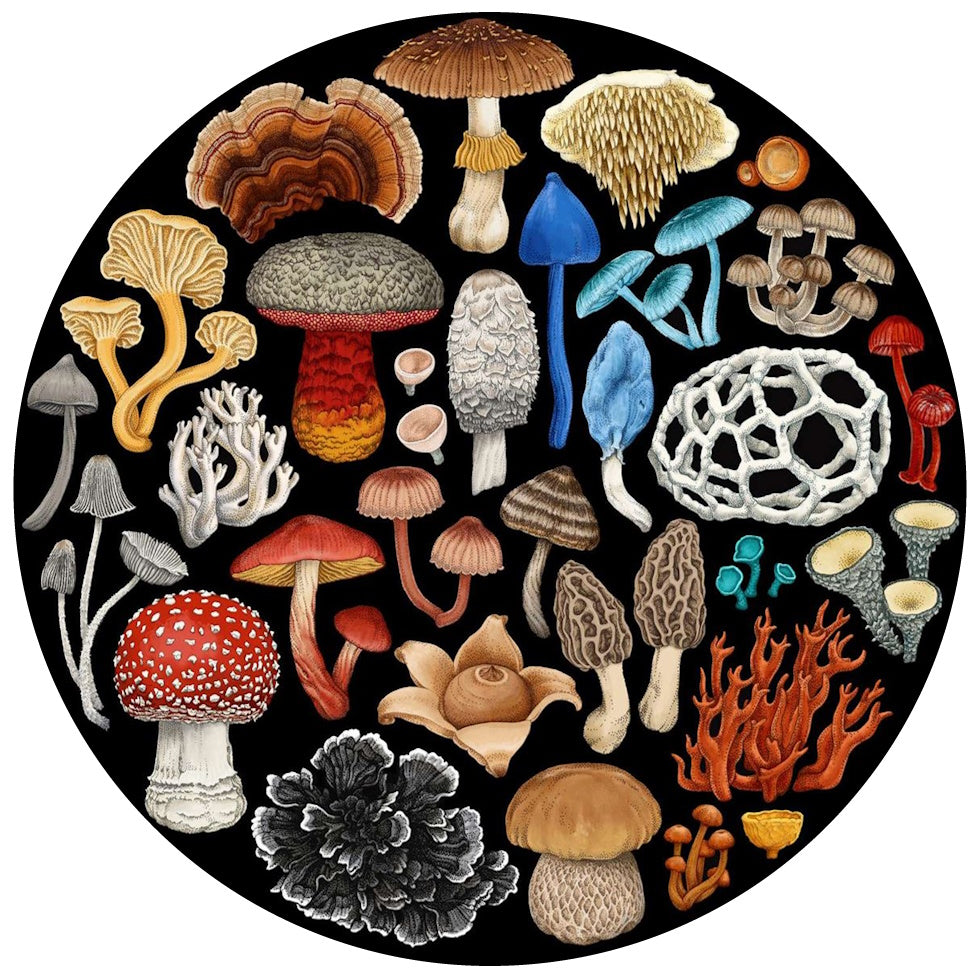 Wolfkamp & Stone Fungi 1000 Piece Round Jigsaw Puzzle