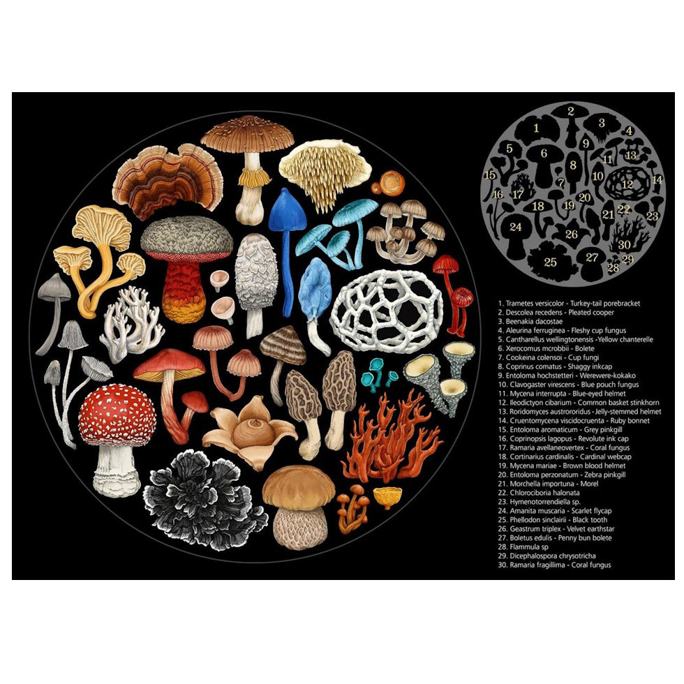 Wolfkamp & Stone Fungi 1000 Piece Round Jigsaw Puzzle