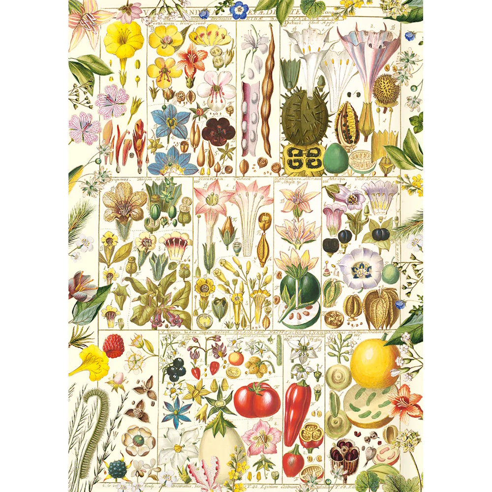 Gibsons 1000 Piece Jigsaw Puzzle - Botanical Bliss
