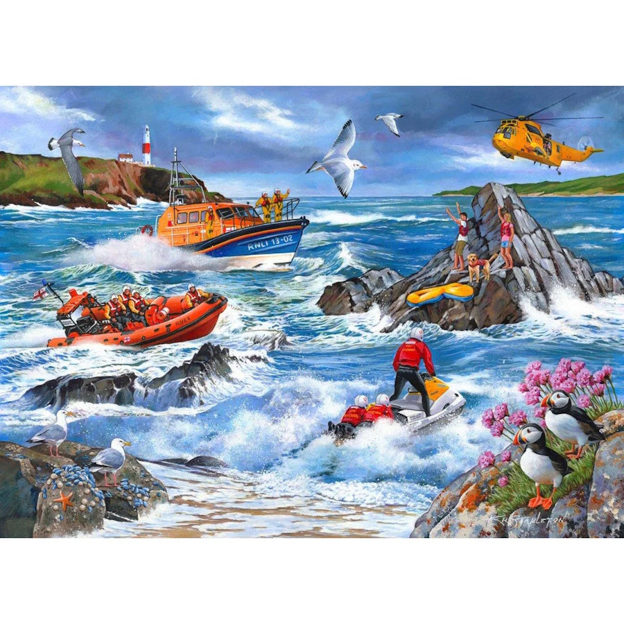 House of Puzzles 1000 Piece Puzzle - Against the Tide