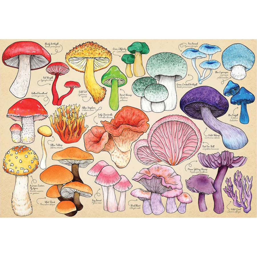 House of Puzzles 1000 Piece Puzzle - Mushroom Mania