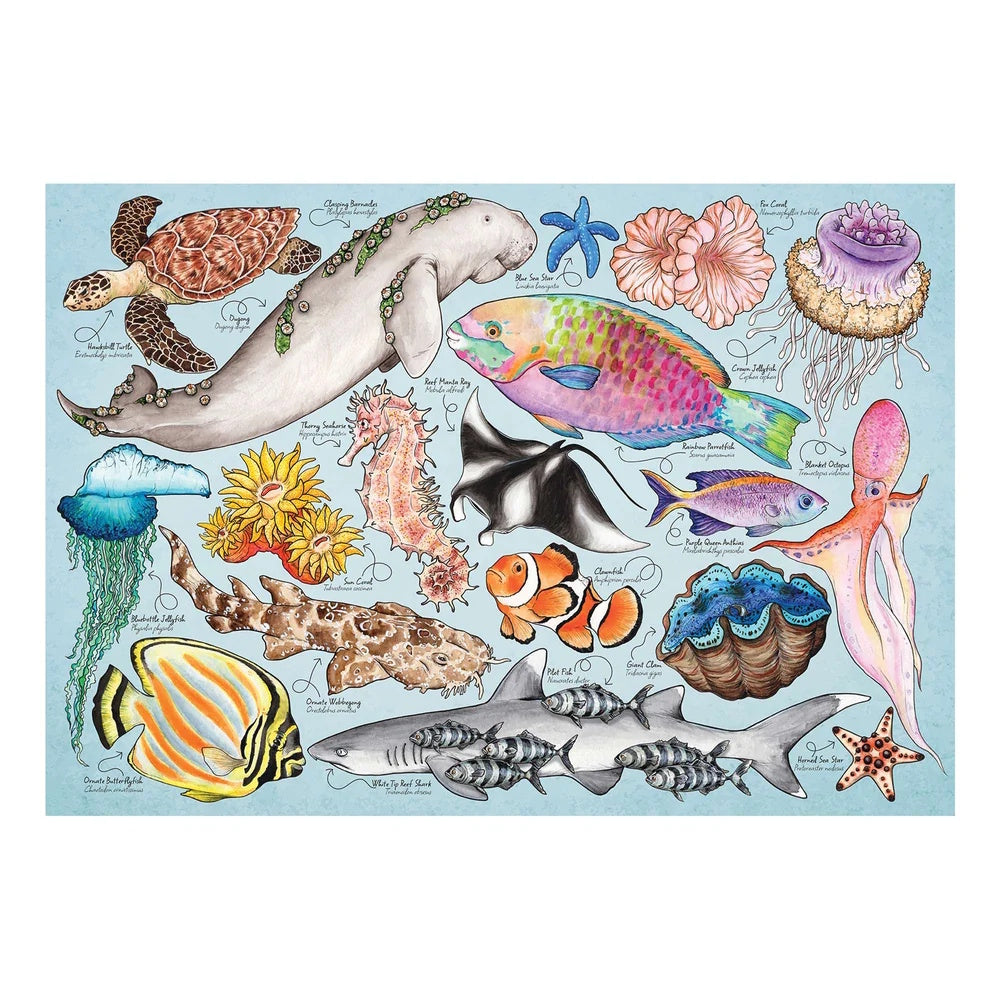 House of Puzzles 150 Piece Mini Puzzle - Great Barrier Reef