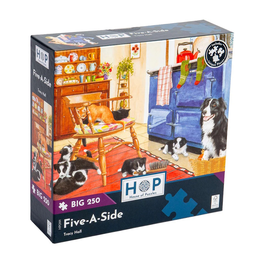 House of Puzzles BIG 250 Piece Puzzle - Five-A-Side