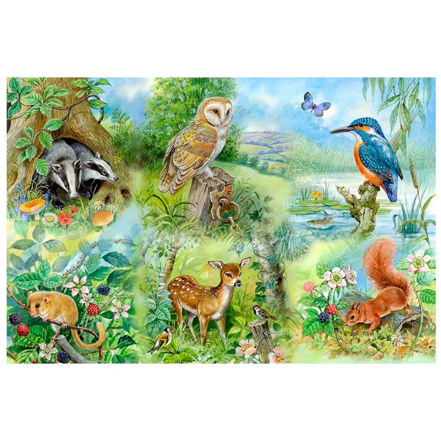 House of Puzzles BIG 250 Piece Puzzle - Nature Study