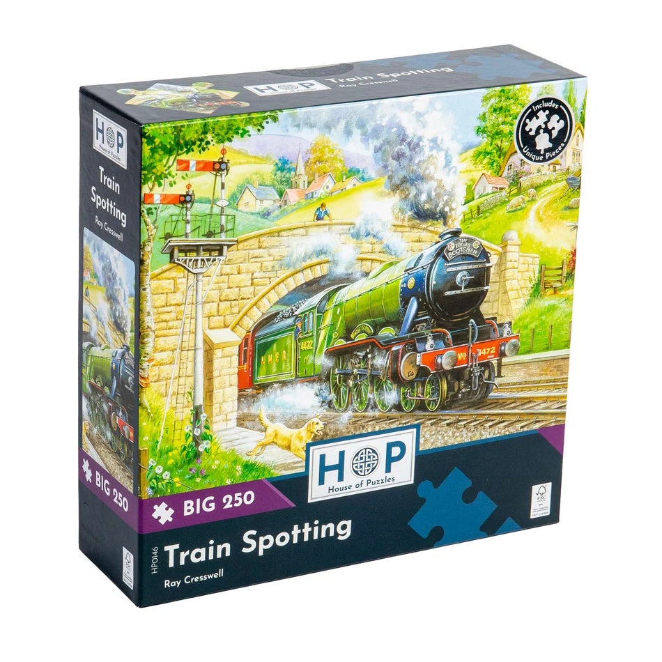 House of Puzzles BIG 250 Piece Puzzle - Train Spotting