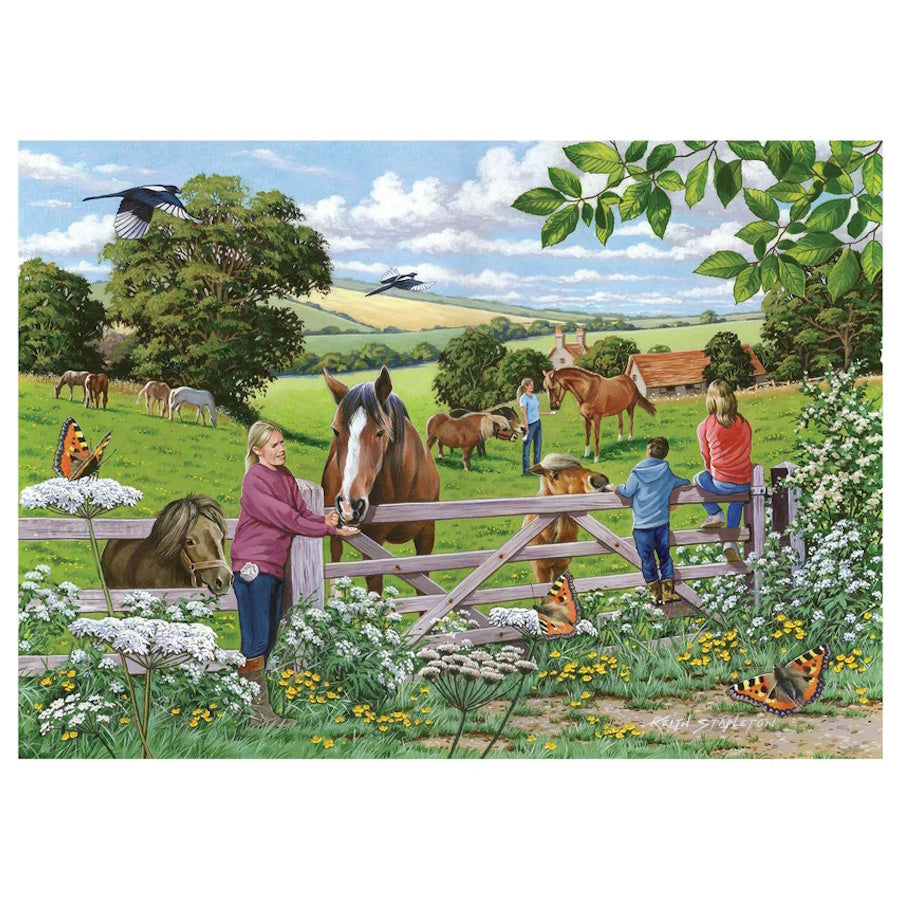 House of Puzzles BIG 250 Piece Puzzle - Sugar Lumps