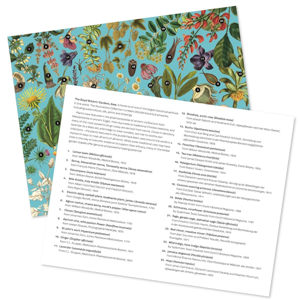 Kew Gardens 1000 Piece Puzzle - Healing Plants