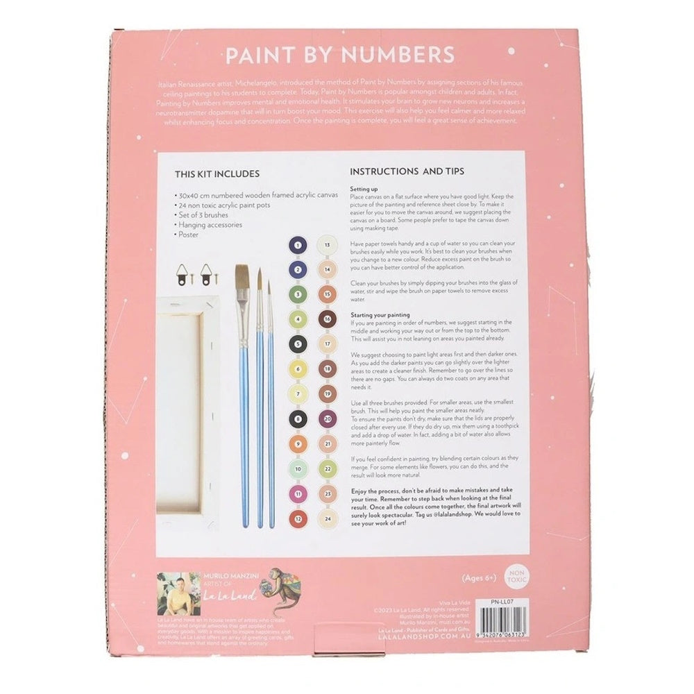 La La Land Viva La Vida Paint By Numbers Kit