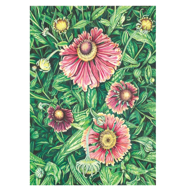 Lettuce 1000 Piece Jigsaw Puzzle - Gabrielle Gatt: Looking For You