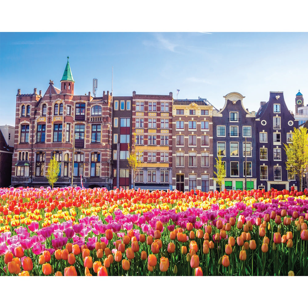 Mindbogglers 1000 Piece Puzzle - Amsterdam, Netherlands