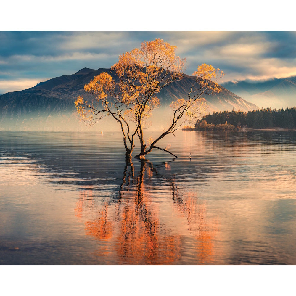 Mindbogglers 1000 Piece Puzzle - Lake Wanaka, New Zealand