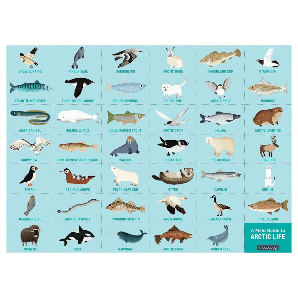 Mudpuppy Arctic Life 64 Piece Search & Find Puzzle