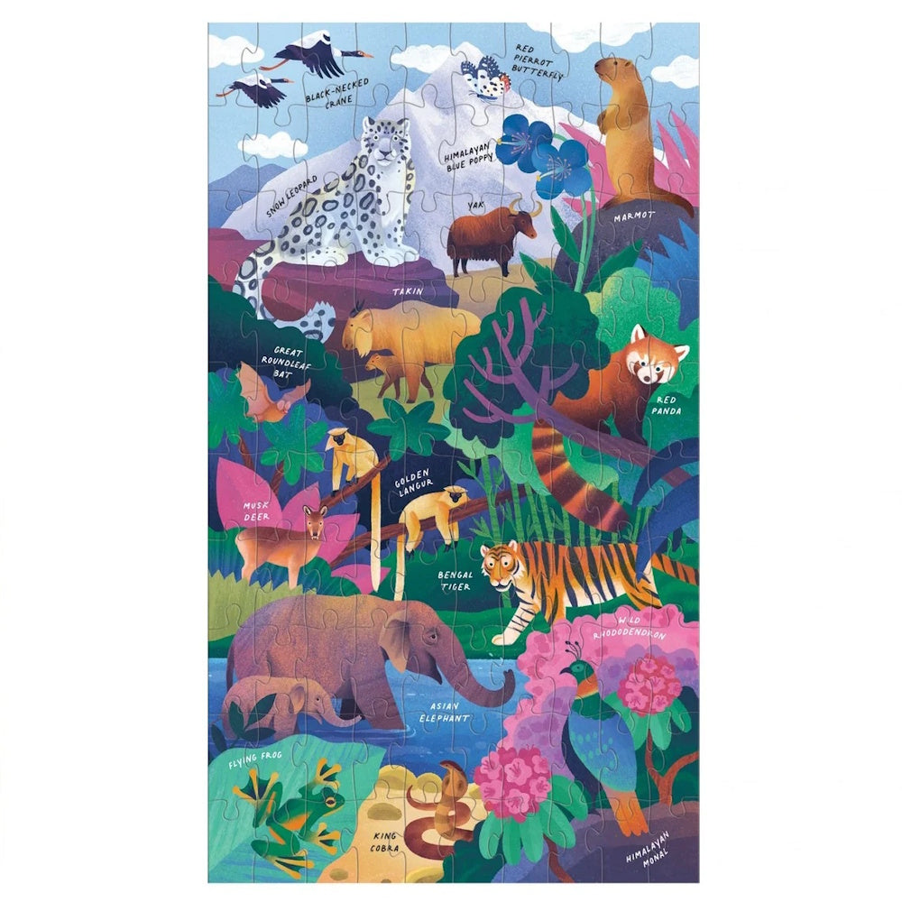Momentous Mountains Science Puzzle Set