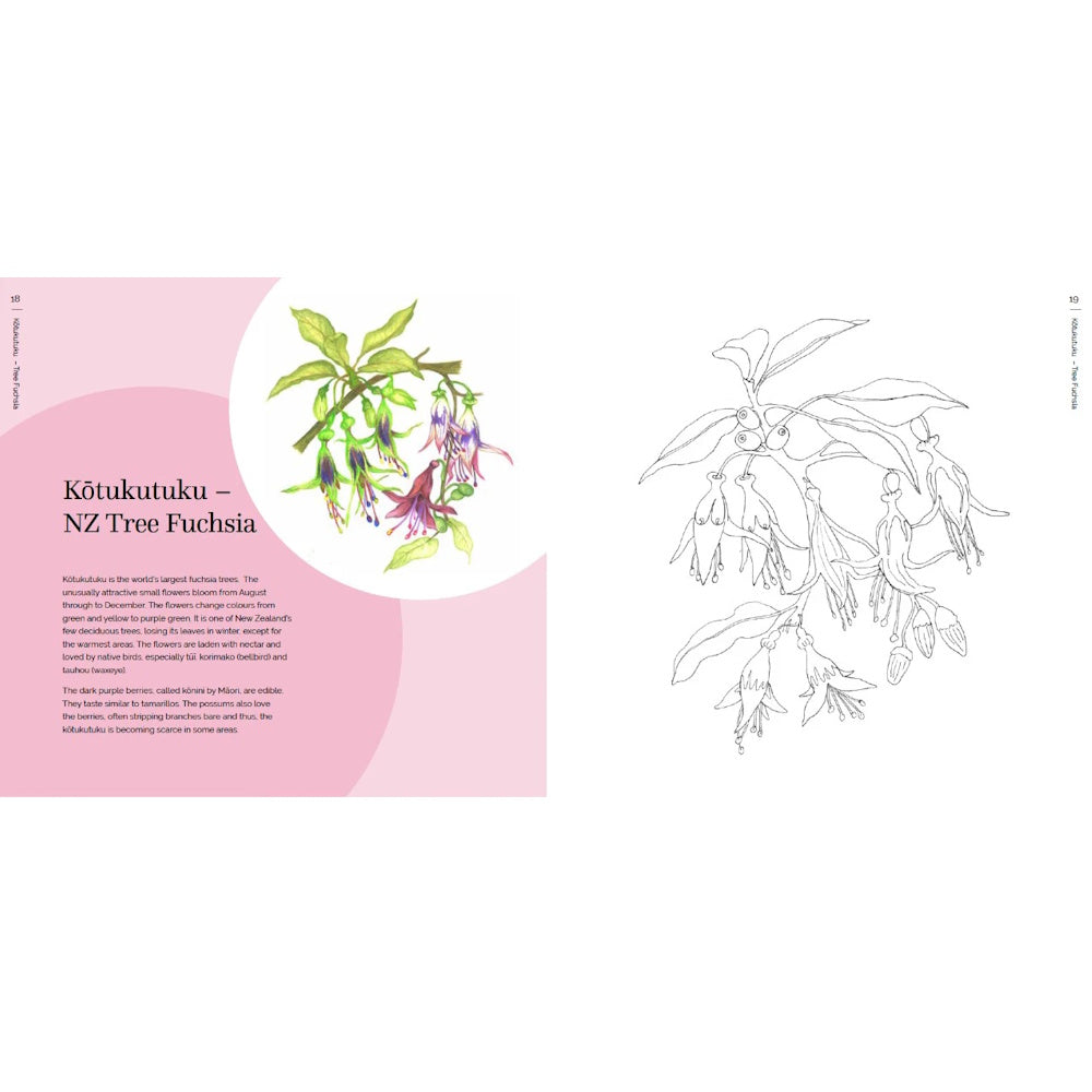The New Zealand Native Flower Colouring Book