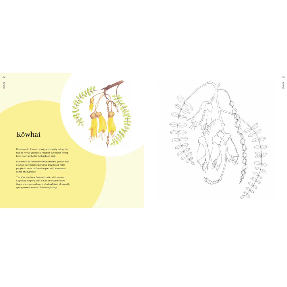 The New Zealand Native Flower Colouring Book