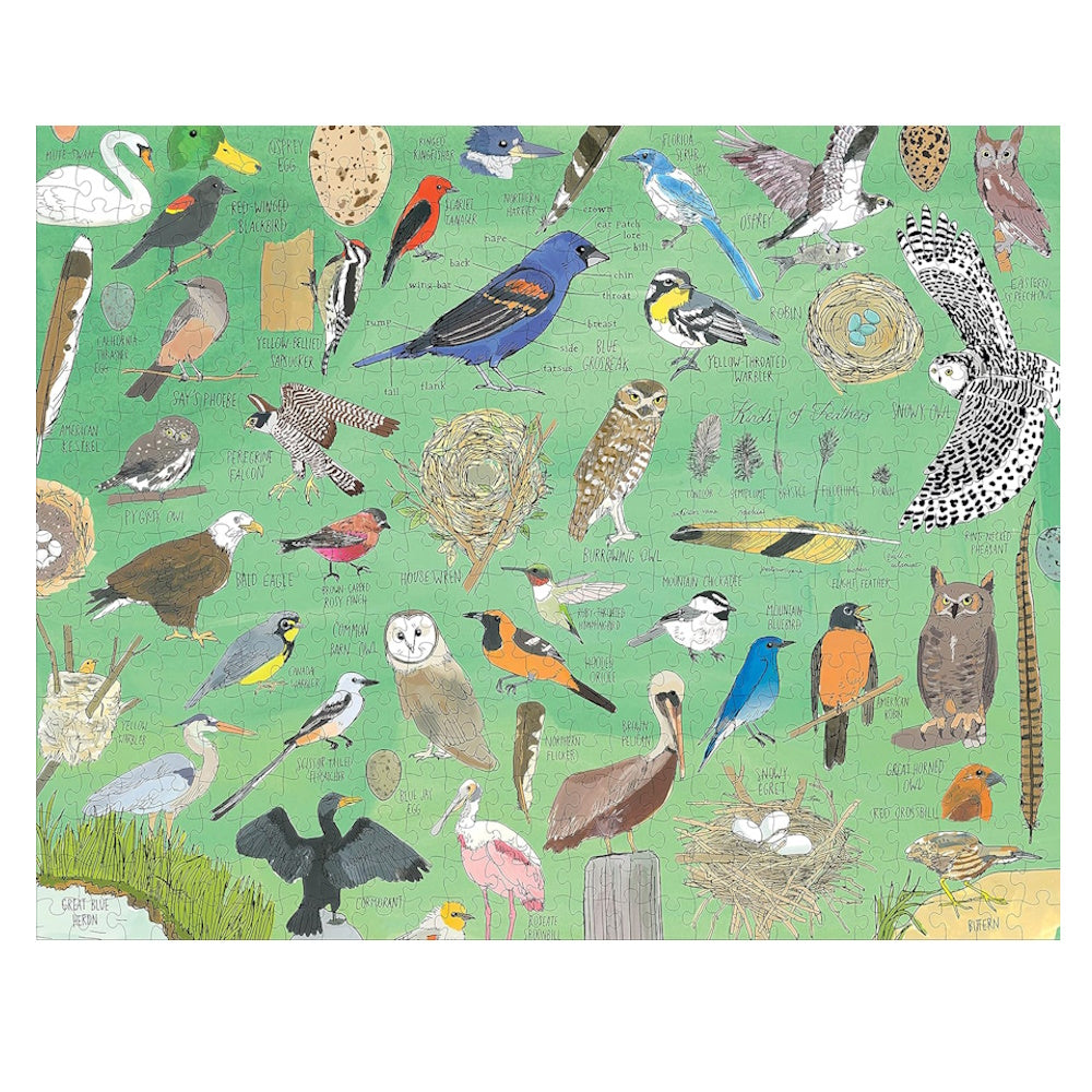 Nature Anatomy: Birds 500 Piece Puzzle