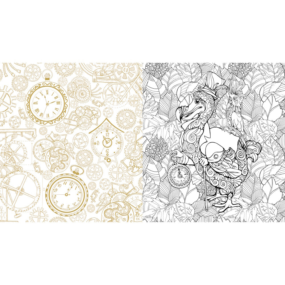 Oddities & Curiosities Colouring Book