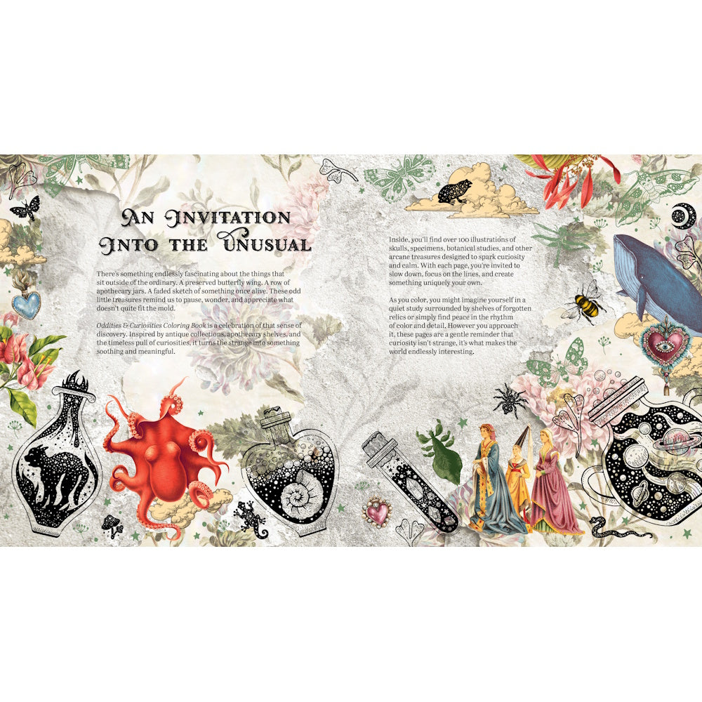 Oddities & Curiosities Colouring Book
