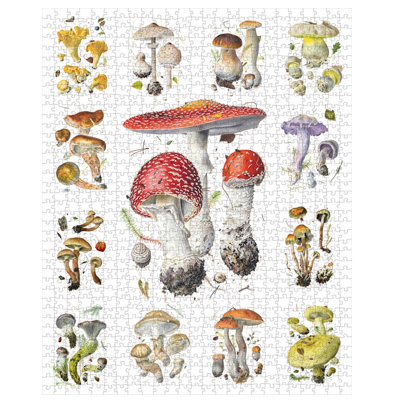 Pomegranate 1000 Piece Puzzle - Mushrooms