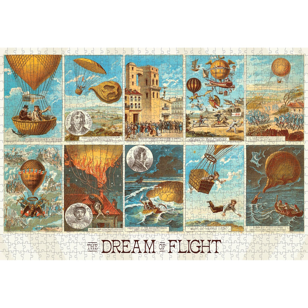 Pomegranate 1000 Piece Puzzle - The Dream of Flight