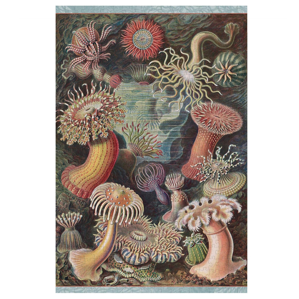 Pomegranate 500 Piece Puzzle - Ernst Haeckel: Sea Anemones
