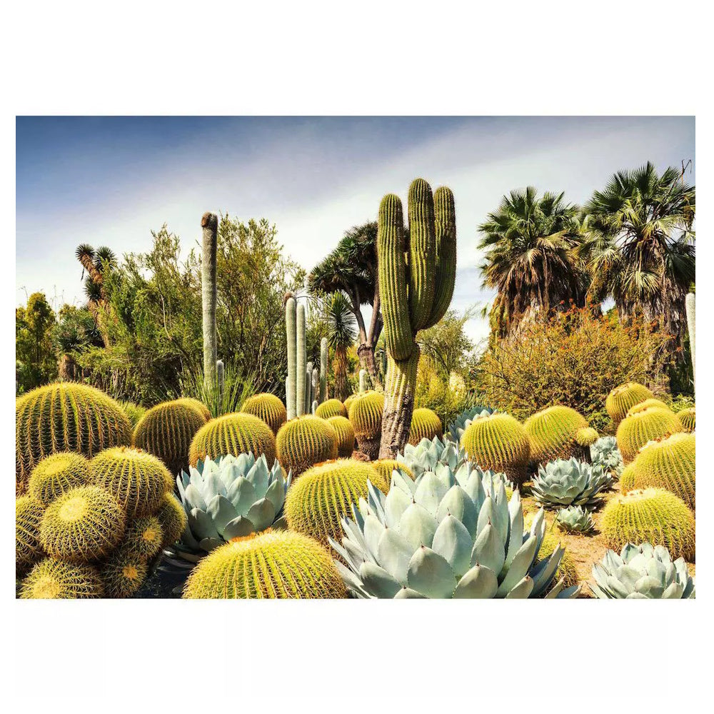 Ravensburger 1000 Piece Puzzle - Huntington Desert Garden