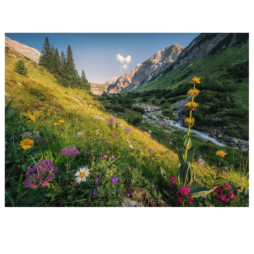 Ravensburger 1000 Piece Puzzle - Magical Valley