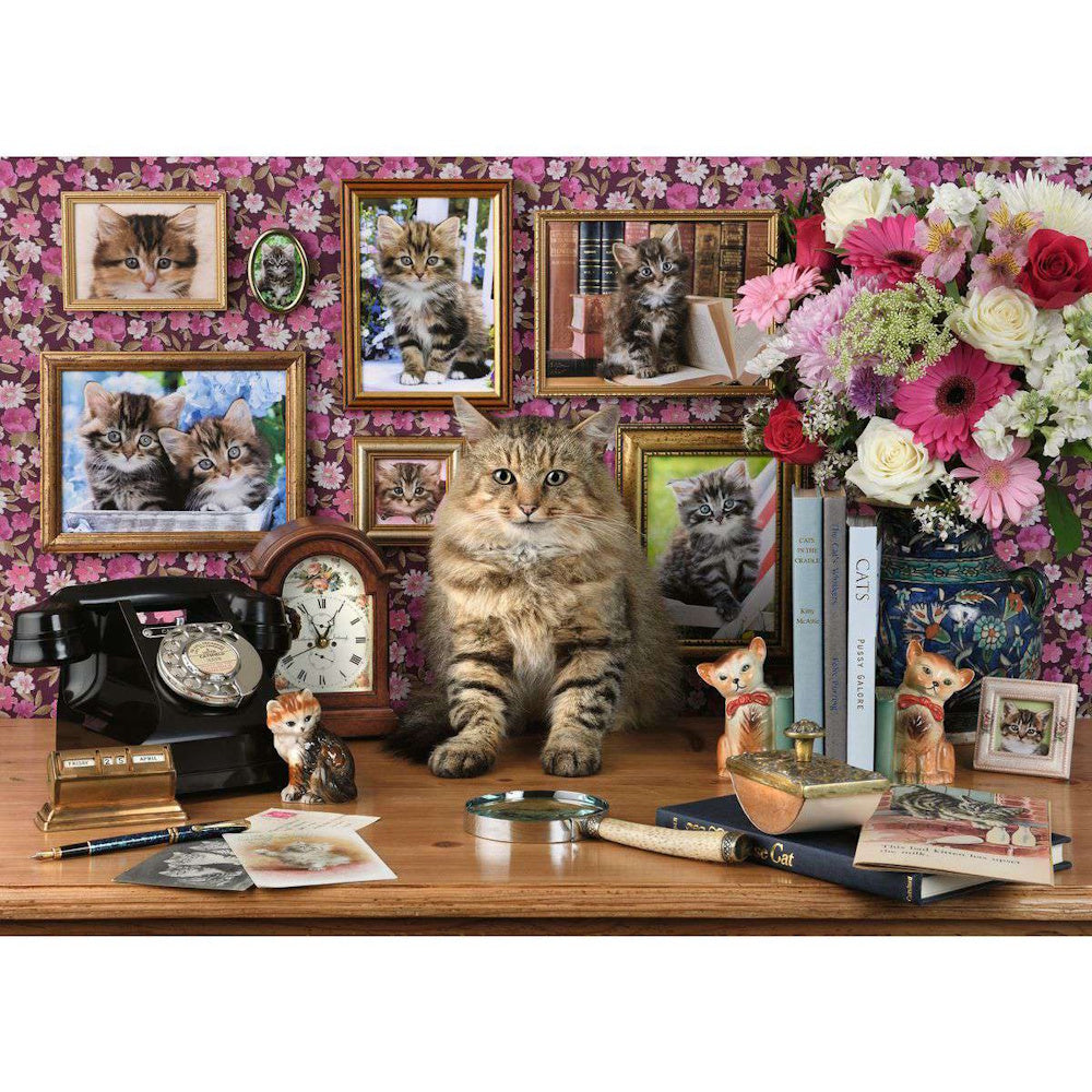 Ravensburger 1000 Piece Puzzle - My Cute Kitty
