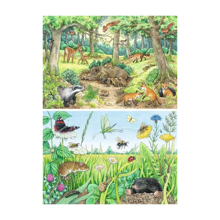 Ravensburger 2 x 12 Piece Puzzles - Animals in the Forest