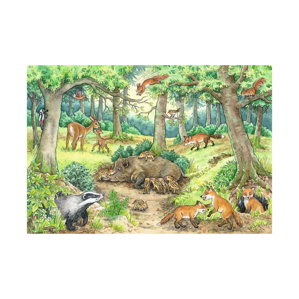 Ravensburger 2 x 12 Piece Puzzles - Animals in the Forest