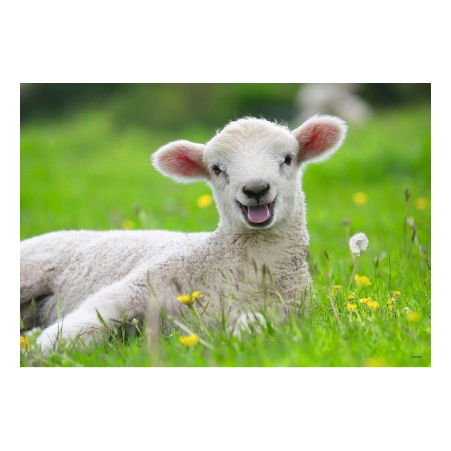 Ravensburger 2 x 12 Piece Puzzles - Farm Animals Babies