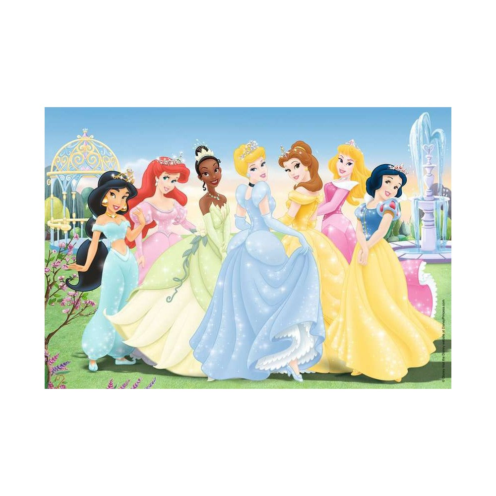 Ravensburger 2 x 24 Piece Puzzles - Disney Princesses Gathering