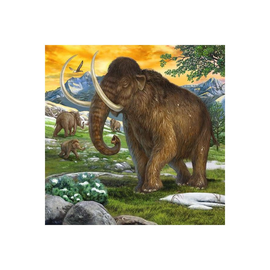 Ravensburger 3 x 49 Piece Puzzles - Primeval Ruler