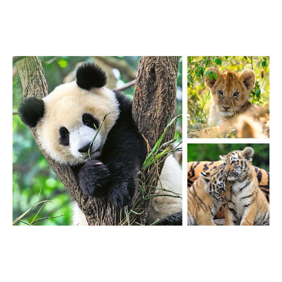 Ravensburger 3 x 49 Piece Puzzles - Panda, Lion & Tiger