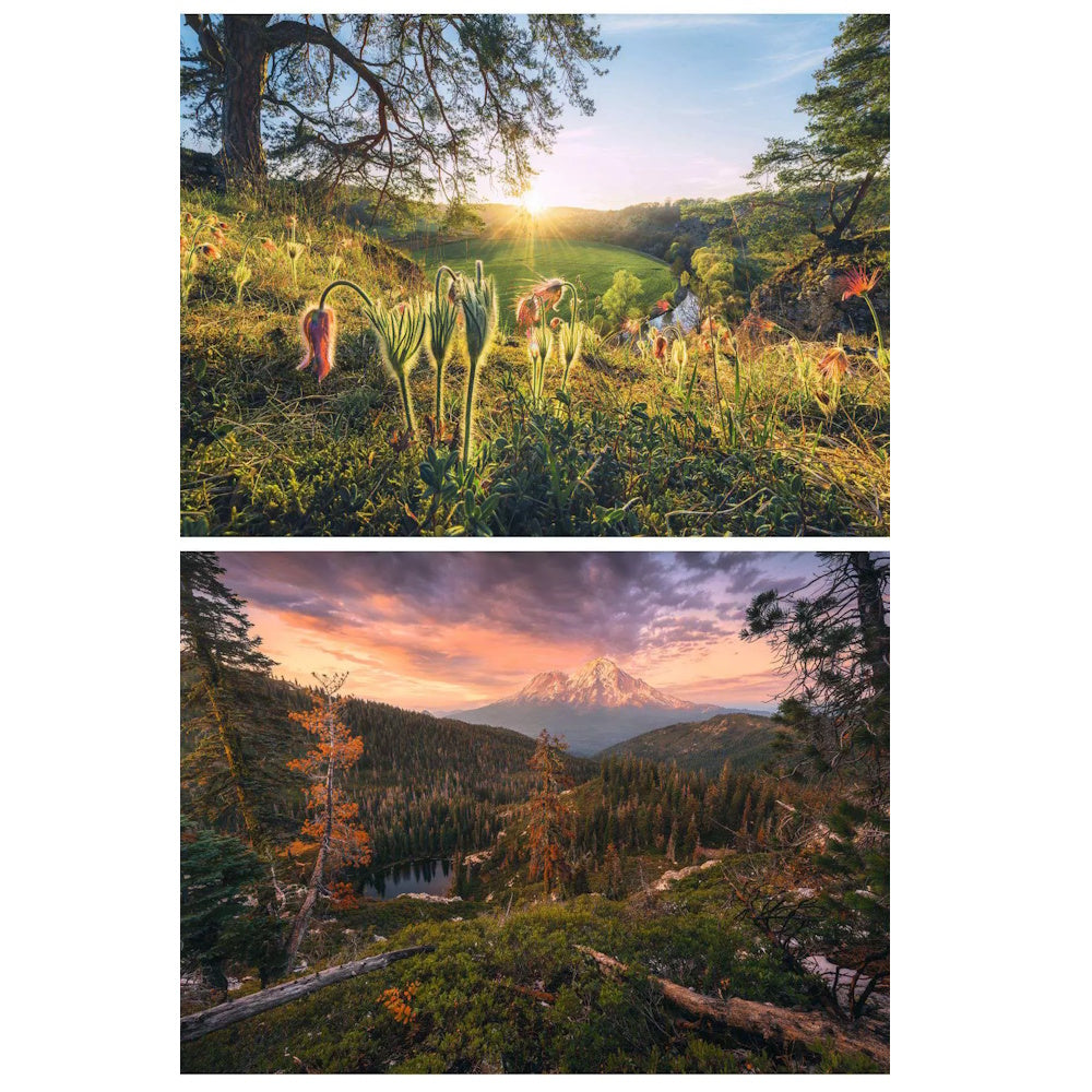 Ravensburger 4 x 500 Piece Puzzles - Four Seasons