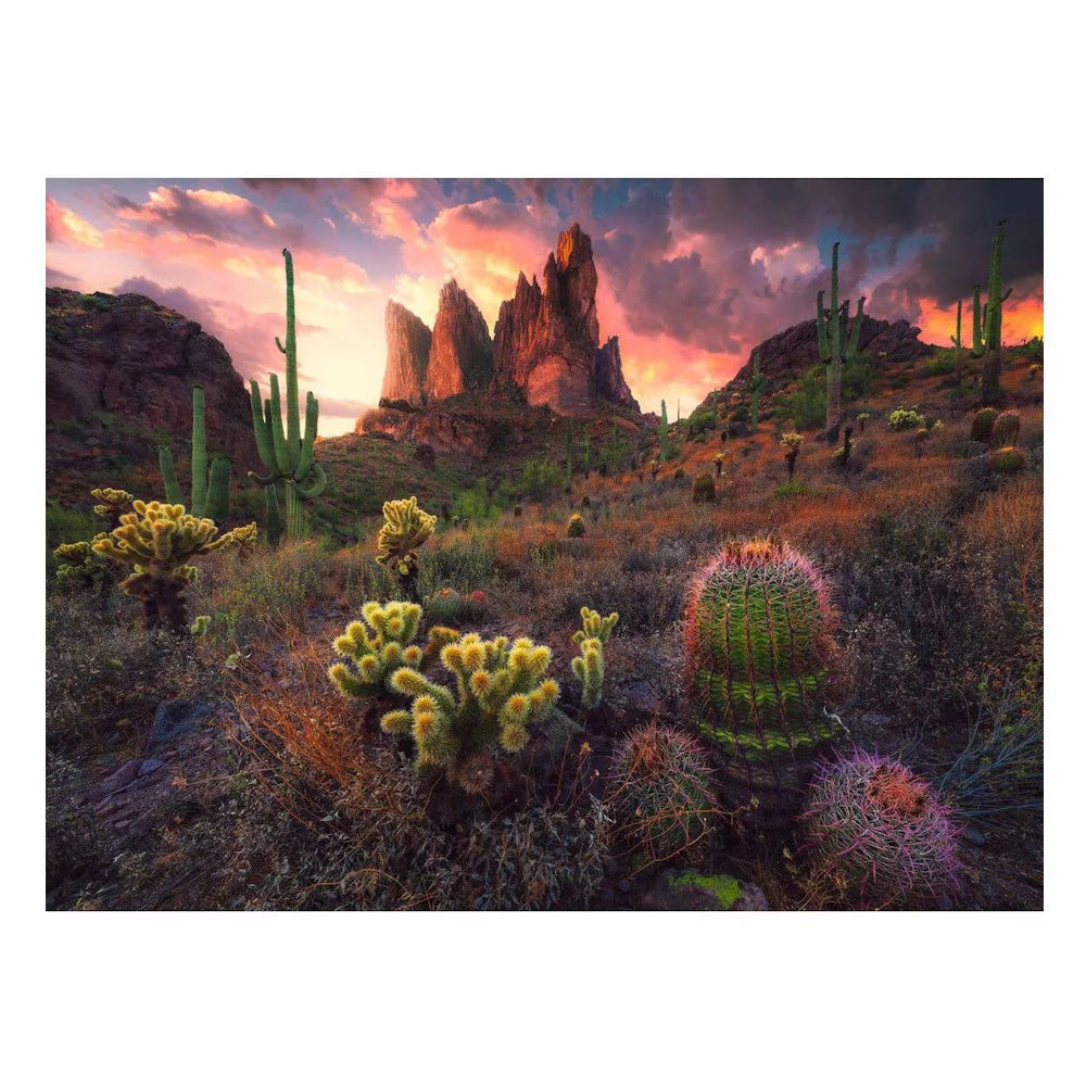 Ravensburger 500 Piece Puzzle - Cactus