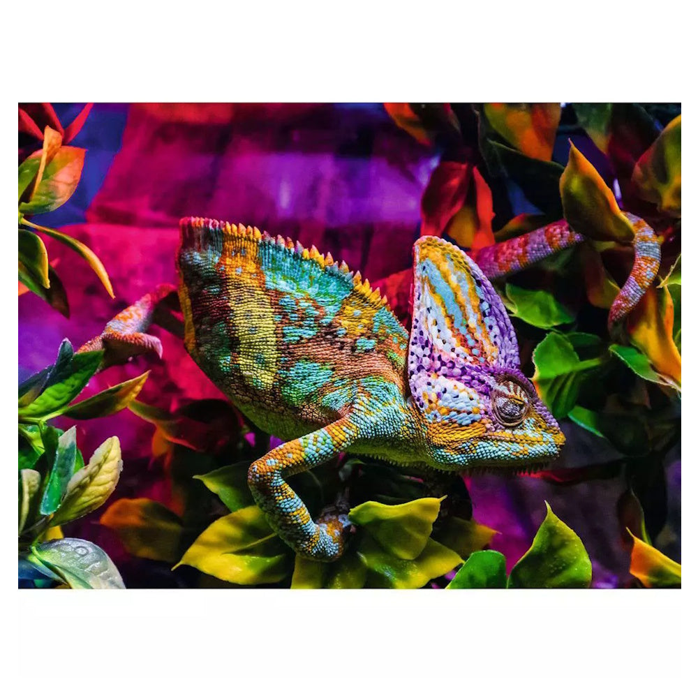 Ravensburger 500 Piece Puzzle - Chameleon