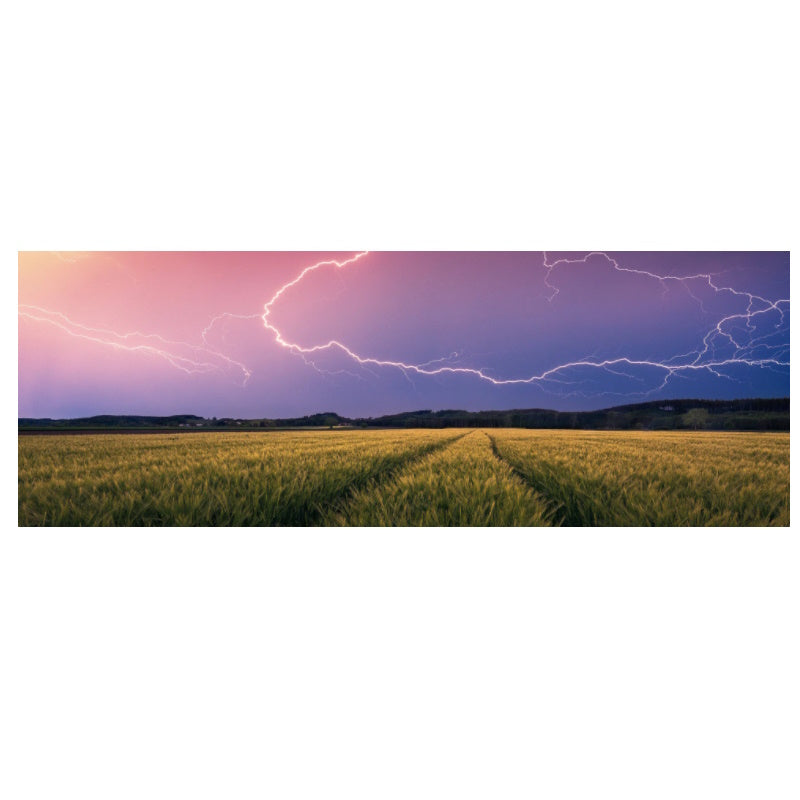 Ravensburger 500 Piece Puzzle - Summer Thunderstorm