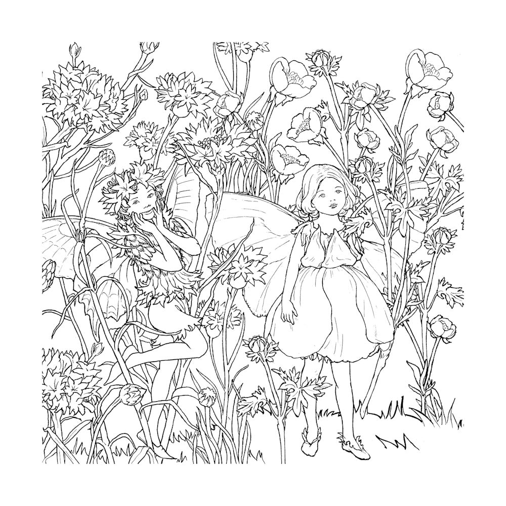 The Flower Fairies Colouring Book