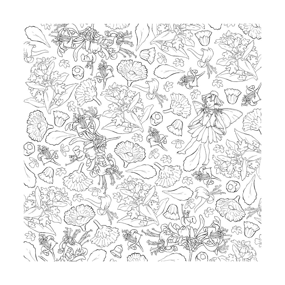 The Flower Fairies Colouring Book